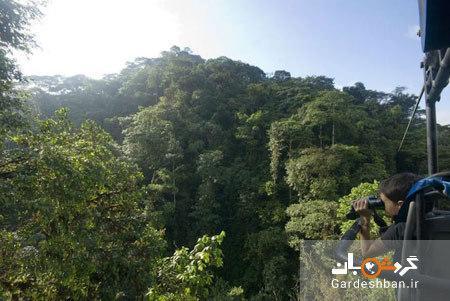دوچرخه سواری بر فراز جنگل های انبوه اکوادور