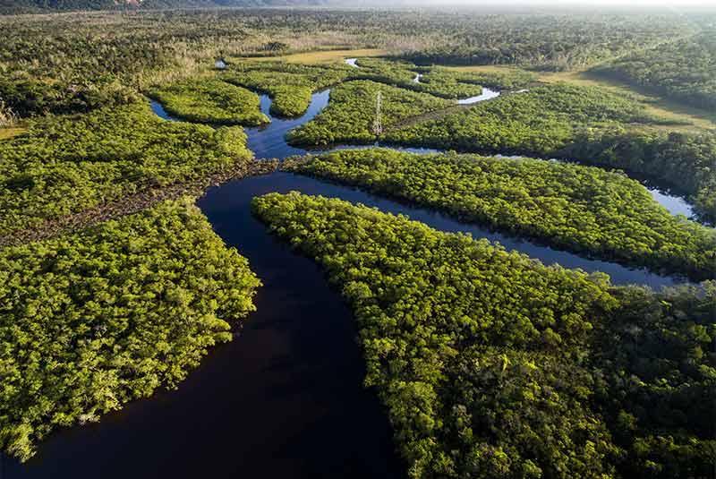 آمازون؛ پر آب ترین رود جهان در آمریکای جنوبی