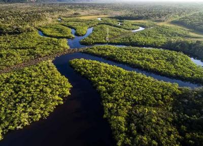 آمازون؛ پر آب ترین رود جهان در آمریکای جنوبی