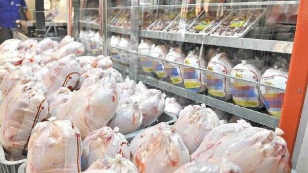 وزارت جهاد کشاوزی مسوولِ التهاب در بازار مرغ است
