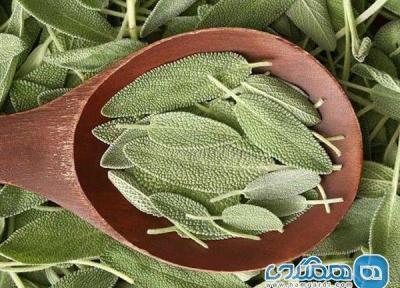 تاثیر عصاره مریم گلی خاردار بر افسردگی و اضطراب