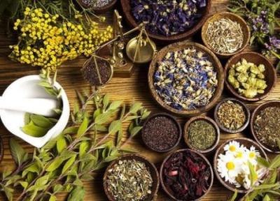 تولید بذر و اندام تکثیری گیاهان دارویی از 250 هزار تن فراتر رفت